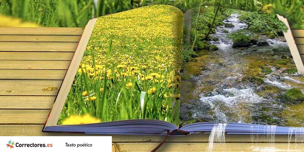 correccion texto poetico